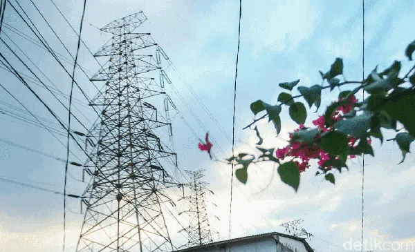 Potret Kehidupan Masyarakat yang Berdampingan dengan SUTET