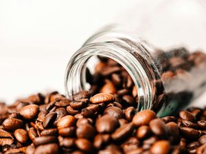 2 Warga Pati Gelapkan Kopi Senilai Rp 760 Juta dari Petani Garut 2 Warga Pati Gelapkan Kopi Senilai Rp 760 Juta dari Petani Garut
