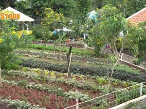Intip Rumah Mamah Dedeh, Ada Kolam Lele hingga Kebun Anggur Intip Rumah Mamah Dedeh, Ada Kolam Lele hingga Kebun Anggur