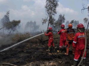 Sejumlah Lahan Gambut di Ogan Ilir dan OKI Terbakar
