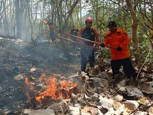 Terjadi 14 Kebakaran Hutan dan Lahan di Trenggalek Selama Kemarau Terjadi 14 Kebakaran Hutan dan Lahan di Trenggalek Selama Kemarau