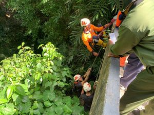 Pasutri Jatuh ke Jurang Saat Bersihkan Halaman Rumah di Ubud