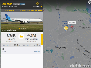 Pantau Paus Fransiskus Terbang ke Papua Nugini Pakai Flightradar24 Pantau Paus Fransiskus Terbang ke Papua Nugini Pakai Flightradar24