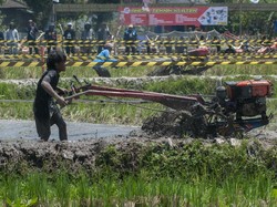 Begini Peran Penting Teknologi Pertanian ke Industri Pangan
