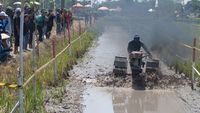 Begini Jadinya Traktor Dipakai buat Balapan di Sawah