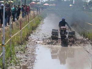 Begini Jadinya Traktor Dipakai buat Balapan di Sawah Begini Jadinya Traktor Dipakai buat Balapan di Sawah
