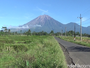 Gunung Semeru Erupsi, Luncurkan Abu Vulkanik Setinggi 500 Meter