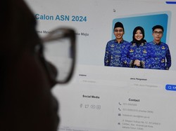 Cara Melihat Jumlah Pelamar CPNS 2024 Terkini, Cek di Sini!