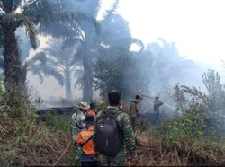 Hari ke-10, Karhutla di Muara Enim Belum Padam-54 Hektare Lahan Sudah Terbakar