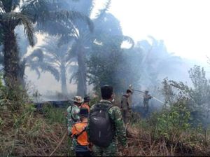 Hari ke-10, Karhutla di Muara Enim Belum Padam-54 Hektare Lahan Sudah Terbakar Hari ke-10, Karhutla di Muara Enim Belum Padam-54 Hektare Lahan Sudah Terbakar
