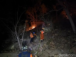 Warga Ponorogo Panik Kebakaran Hutan Merembet Dekati Permukiman