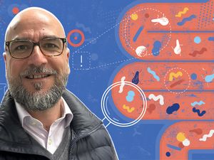 Transplantasi Tinja Bantu Atasi Penyakit Kronis Pria Inggris Transplantasi Tinja Bantu Atasi Penyakit Kronis Pria Inggris