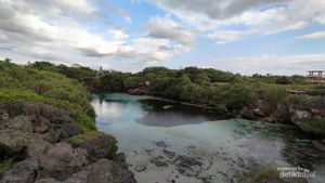 Pernah Mendengar Danau Weekuri? Seindah Ini Tempatnya