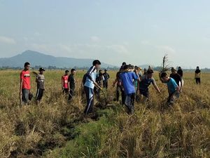 Safari Berburu, Trik Warga Tugumulyo Berantas Hama Tikus