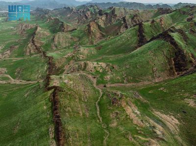 Pegunungan Makkah Menghijau usai Diguyur Hujan