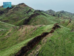 Gunung-gunung di Makkah Jadi Hijau Asri, Fenomena Apakah?