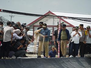 Wagub Kalteng Edy Pratowo Panen Perdana Udang Vaname di Shrimp Estate Berkah