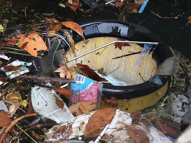 Seabin/ Foto: seabin.io Seabin/ Foto: seabin.io