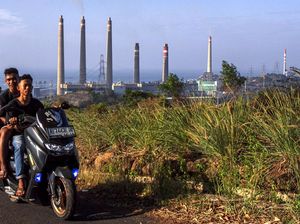 Green Ammonia Mau Dipakai buat Campuran Bahan Bakar di PLTU Labuan Green Ammonia Mau Dipakai buat Campuran Bahan Bakar di PLTU Labuan