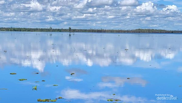 Pulau Tak Berpenghuni di Kalimantan, Sangat Cantik tapi Habitatnya Kerbau