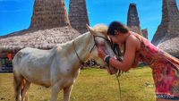 Berkuda di Sumba adalah Liburan Terbaik!