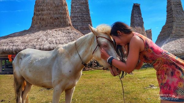 Berkuda di Sumba adalah Liburan Terbaik!