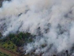 Karhutla di Sumsel Capai Ribuan Hektare, Muba Paling Luas