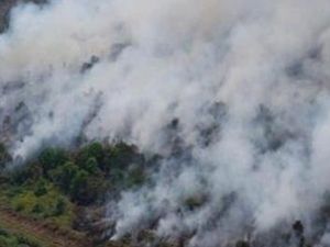 Muara Medak Muba Kembali Terbakar, Luasnya 64 Hektare