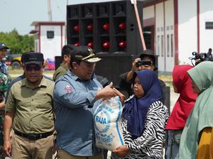 Wagub Kalteng Imbau Bupati hingga Perbankan Bantu Petani Udang Vaname Wagub Kalteng Imbau Bupati hingga Perbankan Bantu Petani Udang Vaname