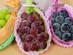 3 Jenis Anggur yang Manis Juicy dari Jepang