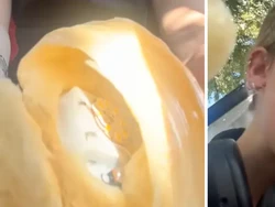 Beli Lampu Bentuk Croissant, Wanita Ini Kaget Ternyata Lampunya Croissant Asli