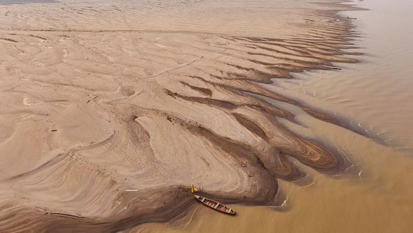 Darurat! Cabang Sungai Terbesar Amazon Berubah Jadi Padang Pasir