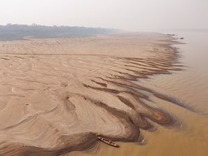 Darurat! Cabang Sungai Terbesar Amazon Berubah Jadi Padang Pasir
