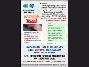 Hoax Pj Bupati Brebes Terjangkit Cacar Monyet, Ini Faktanya