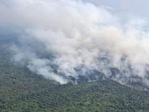 Hotspot Naik, 7 Daerah di Sumsel Belum Tetapkan Status Siaga Karhutla