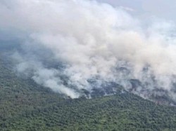 Pemadaman Karhutla di Muba Dioptimalkan, Kini Masih Berasap