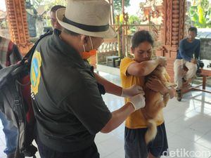 Tindak Lanjut Seusai Desa Selanbawak Masuk Zona Merah Rabies Tindak Lanjut Seusai Desa Selanbawak Masuk Zona Merah Rabies