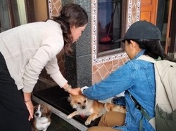 Jembrana Gencarkan Vaksinasi Rabies, Ratusan Hewan Disuntik