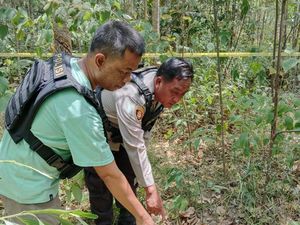 BKSDA Sumsel: Lokasi Tewasnya Ibu Hamil Wilayah Perlintasan Gajah BKSDA Sumsel: Lokasi Tewasnya Ibu Hamil Wilayah Perlintasan Gajah