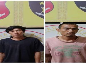 2 Pria di OKU Curi Kelapa Sawit 2 Pria di OKU Curi Kelapa Sawit