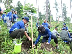Hijaukan Desa Besakih, Pertamina Tanam 200 Pohon di Kaki Gunung Agung
