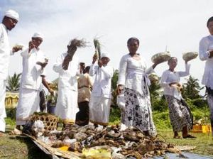 Mengenal Makna dan Tujuan Tradisi Ngaben Tikus di Bali Mengenal Makna dan Tujuan Tradisi Ngaben Tikus di Bali