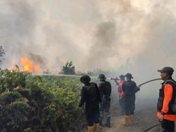 Proses Pemadaman Karhutla di Banyuasin Terkendala Air-Lokasi Sulit Terjangkau