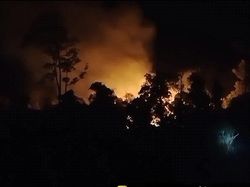Total 1.022 Hektare Lahan TN Way Kambas Terbakar Selama Kemarau