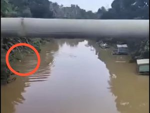 Detik-detik Pria di Kutai Timur Diterkam Buaya 5 Meter Saat Mandi di Sungai