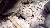 Video Tim SAR Palestina Cari Warga Tertimbun Seusai Serangan Israel