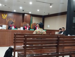 Hotman Paris Celetuk Tak Waras di Sidang Budi Said, Hakim Beri Teguran