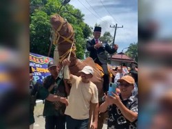 Heboh Legislator di Asahan Diarak Naik Unta Setelah Dilantik