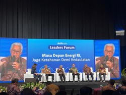 Mau Genjot Produksi Migas, Bos PHE Singgung Perizinan-Lahan Pertanian