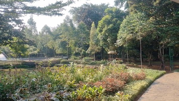 Rileks di Hutan Kota Ciganjur Ditemani Kicau Burung